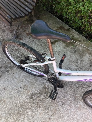 Bicicleta DTB blanca y morada