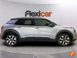 Citroën C4 Cactus PureTech 110 S&S Shine