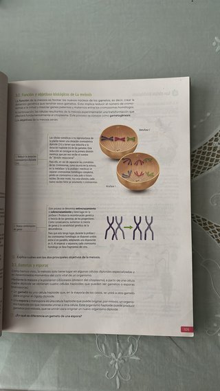 Biología, Geología y Ciencias Ambientales. 1 Ba...