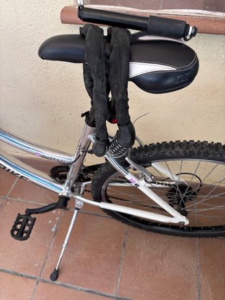 Bicicleta de paseo