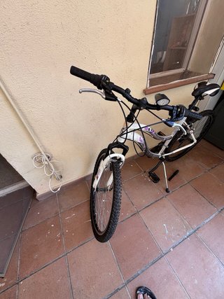Bicicleta de paseo