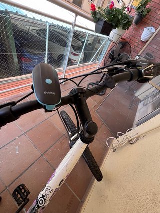 Bicicleta de paseo