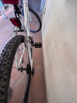 Bicicleta de paseo