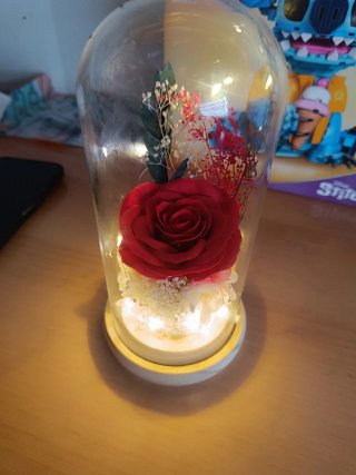 Rosa preservada cúpula LED