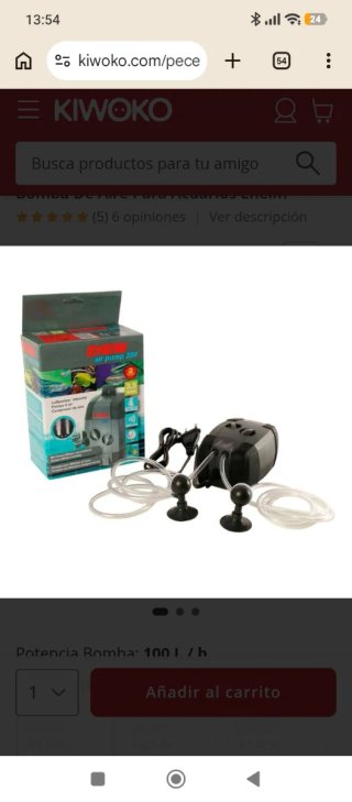 Pecera 120L con decoración