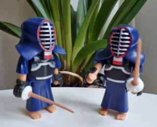 Dojo japonés Playmobil