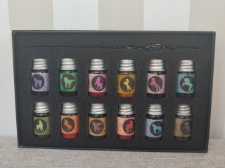 Tinta DIP PEN Fantasía Estrellada