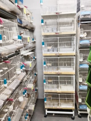 Carro con 5 jaulas para pájaros