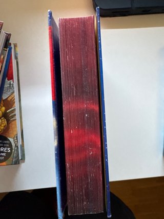 Rescate en el reino de la fantasia (noveno viaje)