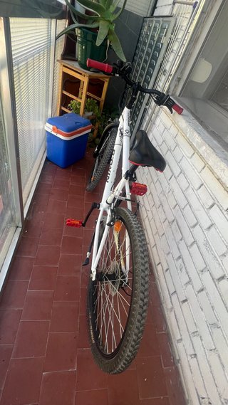 Bicicleta blanca