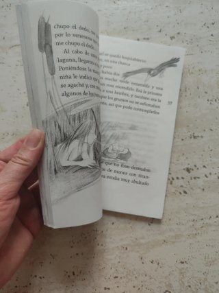 El bosque de los grumos