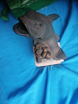 Trofeo de Pesca Pez