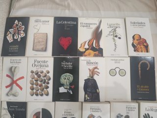 Colección libros clásicos españoles