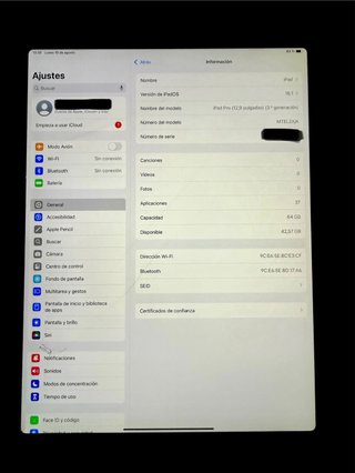 iPad Pro 12.9 3ª Gen Plata