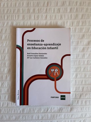 Procesos de enseñanza-aprendizaje en E.I