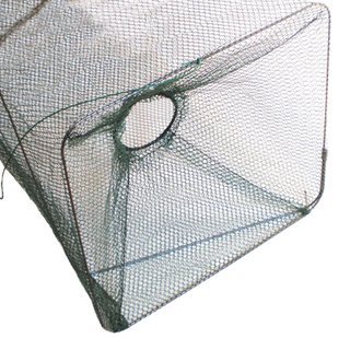 Nasa de pesca para cebo vivo, plegable, talla L