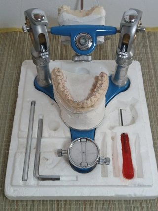 Articulador dental dentatus