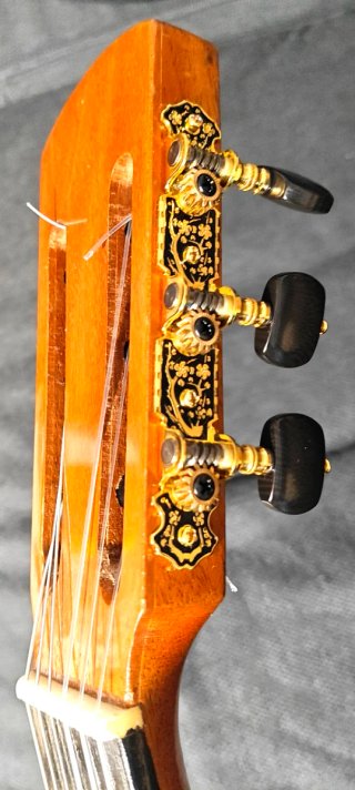 Guitarra Clásica Francisco Esteve