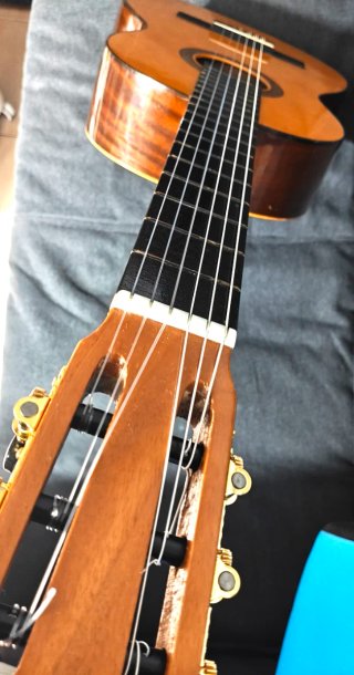 Guitarra Clásica Francisco Esteve