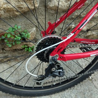 Bici Btt - Focus -Transmisión y cubiertas nuevas