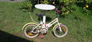Bicicleta niño/adulto - 10/15/20/25€