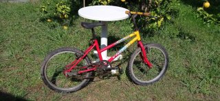 Bicicleta niño/adulto - 10/15/20/25€