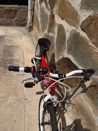Bicicleta Infantil Roja Moma 20