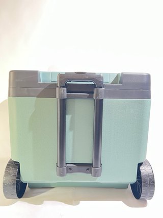 Nevera Eléctrica IGLOO IE42 42L