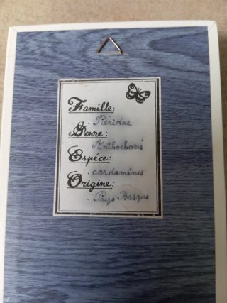 Caja decorativa con mariposa Aurora