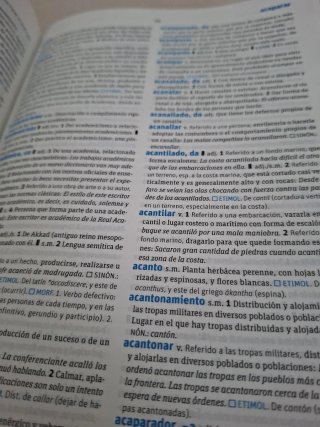 Diccionario Secundaria y Bachillerato lengua es...