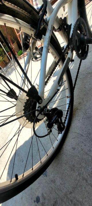 Bicicleta para adulto.