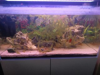Acuario completo con mueble