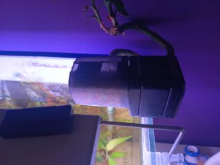 Acuario completo con mueble
