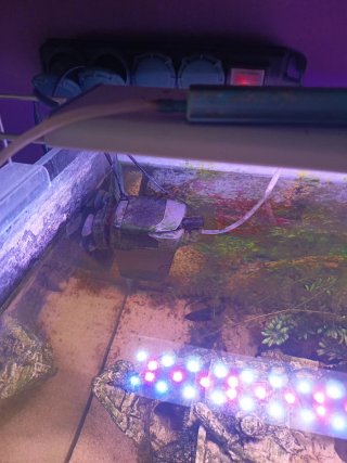 Acuario completo con mueble