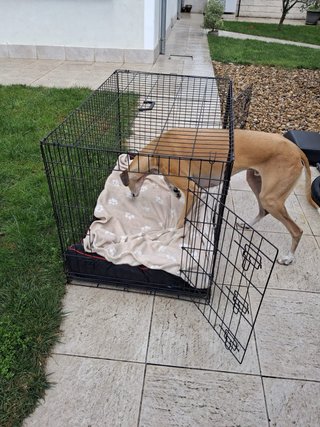 Jaula plegable para perro