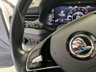 Skoda Kamiq 1.0 TSI 81kW (110CV) Ambition