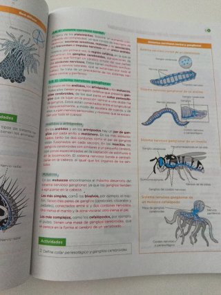 Biología, Geología y Ciencias Ambientales 1 Bac...