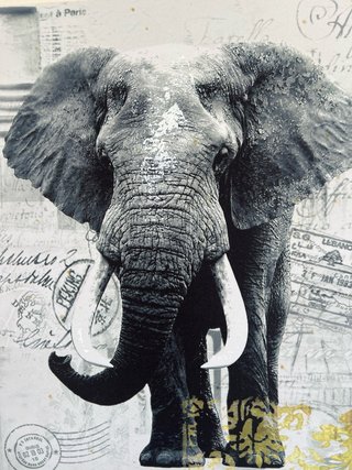 Cuadro Elefante Vintage en lienzo.