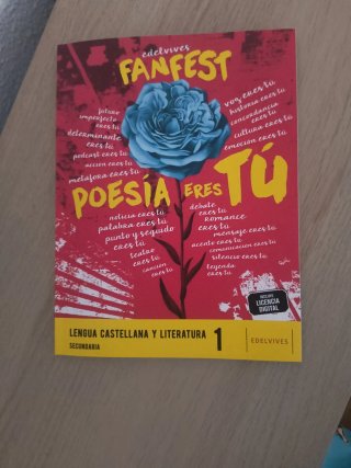 Lengua castellana y literatura 1 Secundaria