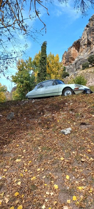 Citroen ID19 TIBURÓN