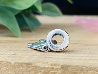 Charm Delfín Plata Océano  - Plata
