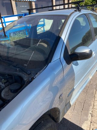 Despiece Peugeot 206