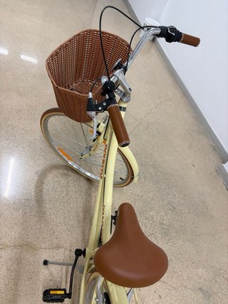 Bicicleta Urbana Holandesa