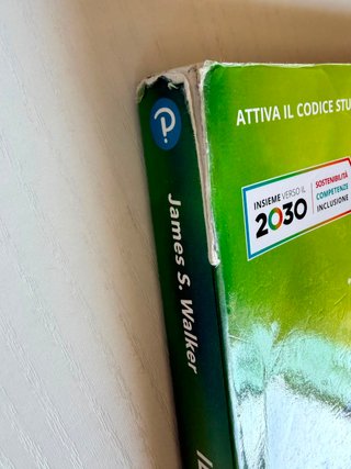 Il Walker - Corso di Fisica 2