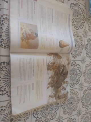 Libro XEOGRAFIA E HISTORIA 1 ESO