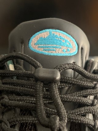 Air Max 95 Zapatillas Negras y Grises