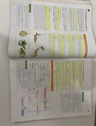 Biología, Geología y Ciencias Ambientales 1 Bac...