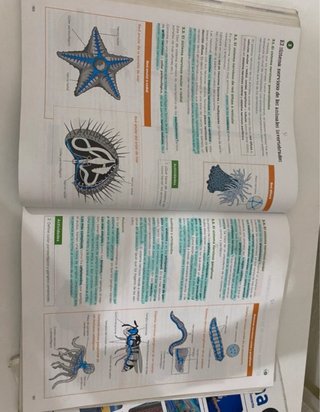 Biología, Geología y Ciencias Ambientales 1 Bac...