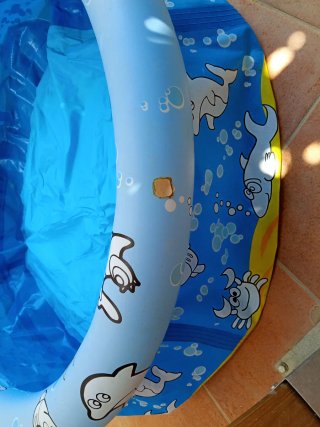 Piscina infantil 100 cm