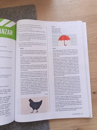 Lingua Galega e Literatura 2, Secundaria, Fanfe...